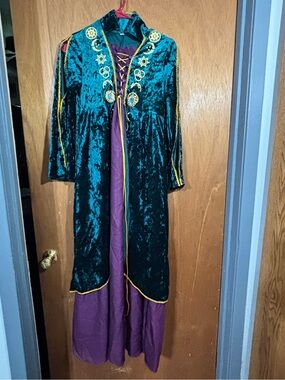 Winifred Costume Dress for Women Adult XL